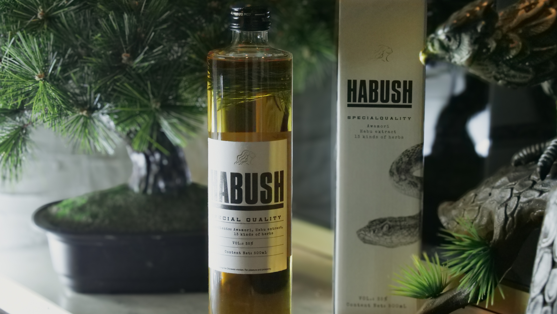 システムセクションの画像